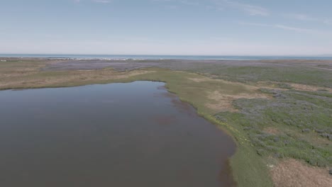 Aerial,-small-lake-and-endless-purple-lupine-fields-from-above