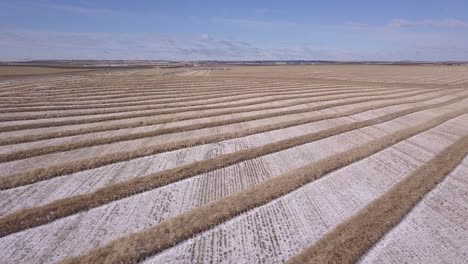 aerial: wheat swathes in neat rows on prairie field with dust of snow