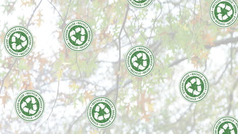 animación de iconos de reciclaje sobre el bosque