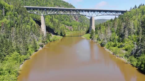 un dron vuela cerca de los árboles y sobre un río lentamente hacia un puente muy alto en el fondo