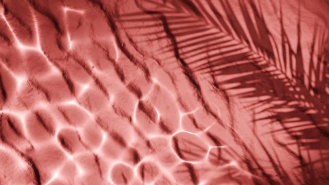 red textured sand with light water reflections and palm leaf shadow overlay. Natural lighting and abstract tropical composition. Summer, nature, and minimal design concept. vertical