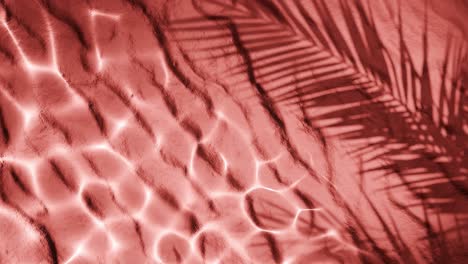 red textured sand with light water reflections and palm leaf shadow overlay. natural lighting and abstract tropical composition. summer, nature, and minimal design concept. vertical