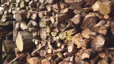 wall pile of stacked natural cut wood logs