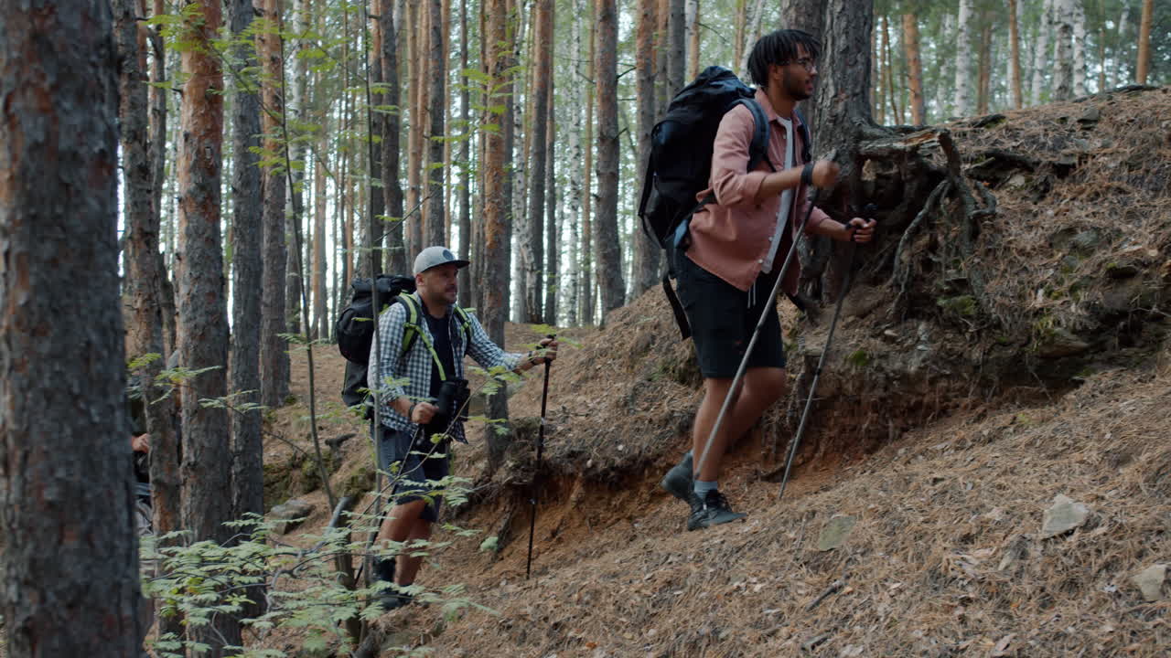숲 속 의 산책자 들