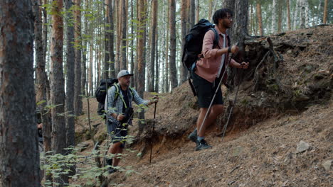 excursionistas en un bosque