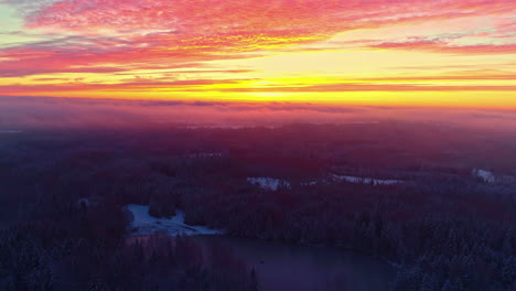 Dramatischer-Sonnenuntergangshimmel-über-Ländlicher-Landschaft-Mit-Nadelbäumen