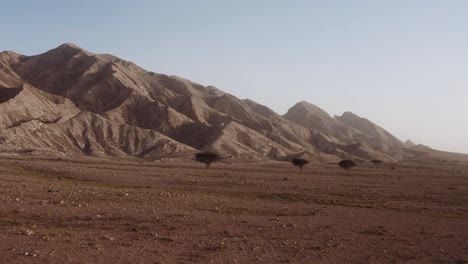 Moving-over-the-desolate-lands-by-the-mountains--wide