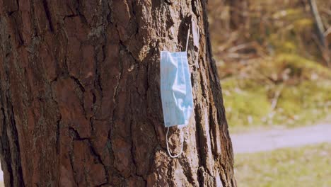 Used-Disposed-Covid-Face-Mask-Hanging-Off-Tree-Trunk-In-Park