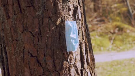 máscara facial covid desechada usada colgando del tronco de un árbol en el parque