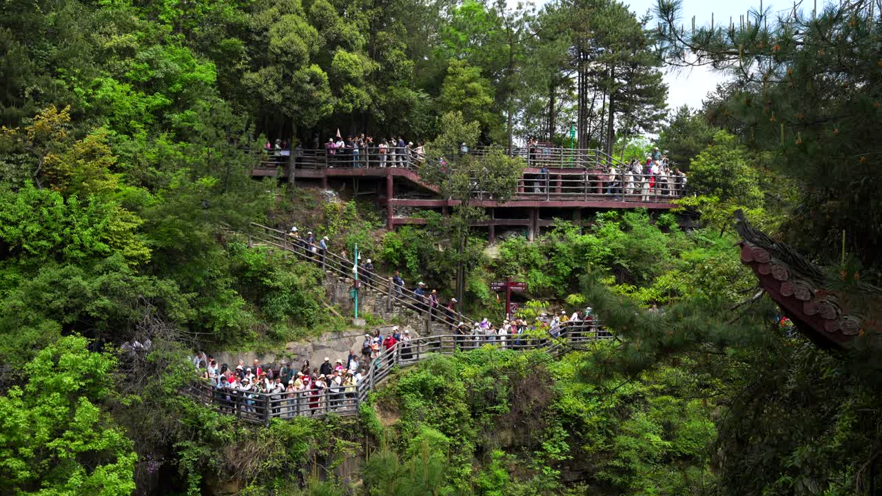 Tourists exploring Yuanjiajie Scenic Area in Zhangjiajie on a lush cliffside walkway, China
