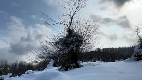 blue-sky-and-white-cloud-in-winter-snow-covered-mountain-landscape-creamy-snow-on-forest-hills-in-winter-season-hiking-adventure-in-Hyrcanian-forest-mountain-highland-trekking-travel-scenic-wonderful