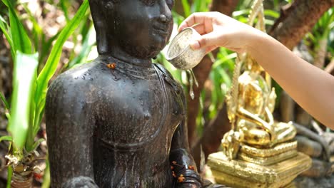 bathing buddha images on important buddhist days to pay respect to the sacred, pray for blessings, peace of mind.