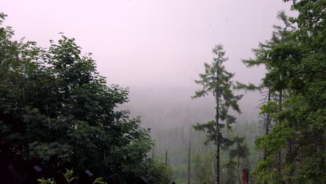 Misty-forest-view-with-hail-storm,-Tatra-mountains,-Slovakia