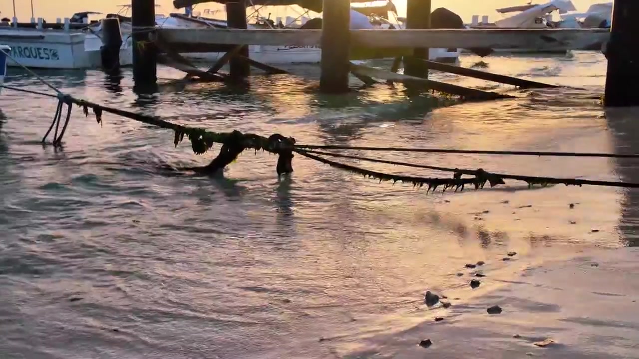 Riva del porto turistico al tramonto con barche e cime ricoperte di alghe