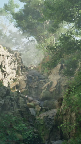 a misty forest path with a stream running through it