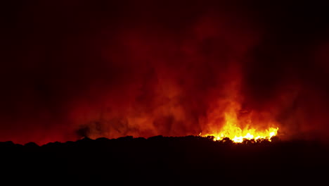 Incendio-Forestal-Ardiente-Bosque-Timelapse