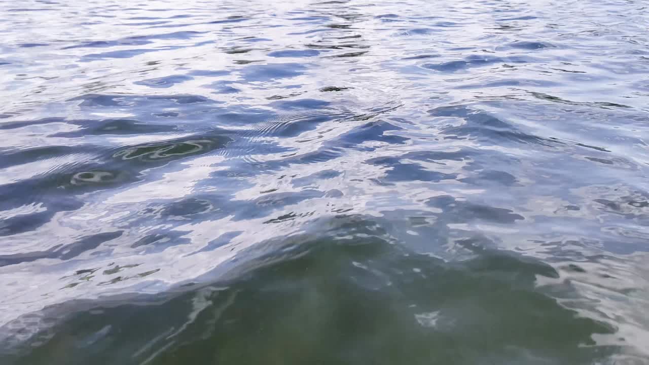 푸른 물 표면, 야생 호수의 파도, 클로즈업