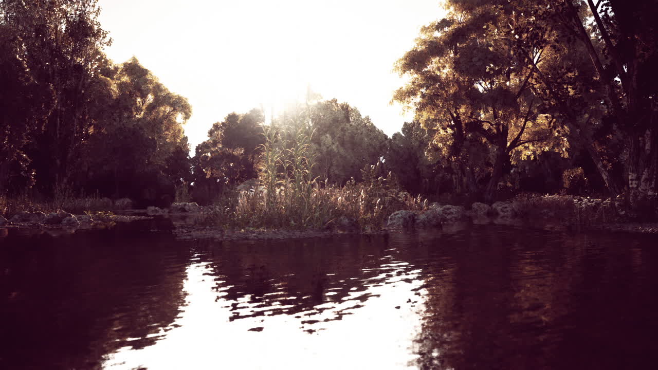 해가 지는 동안 조용한 숲의 호수