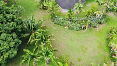 birds eye view of botanical retreat and jungle off grid home on hawaii island