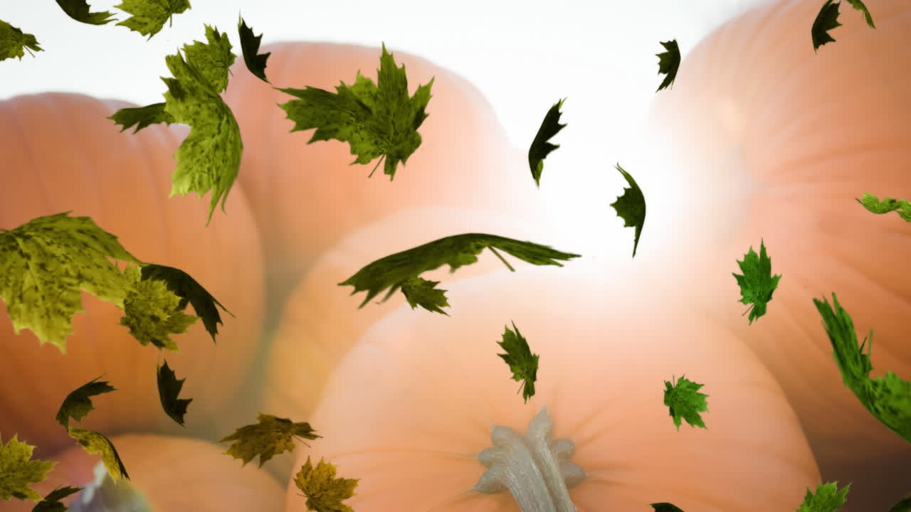 Animazione di foglie autunnali che cadono su un campo di zucche