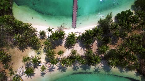 Aerial view of a tropical island Ko Ngam with palm trees and wooden pier in turquoise ocean water. Wonderful aerial view flight drone shot footage from above