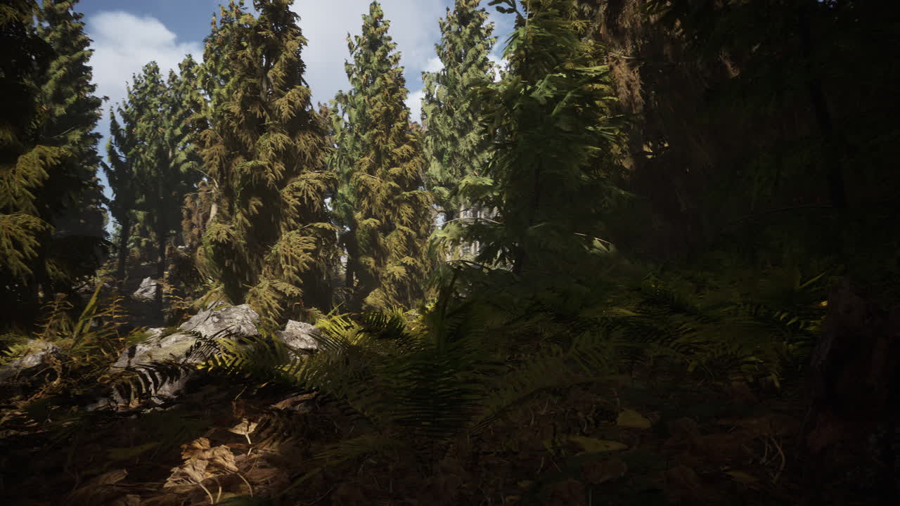 el cono del bosque en un día de niebla