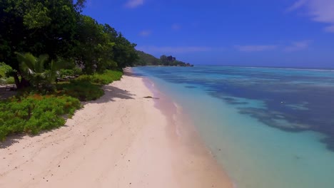 la digue playa desierta en perfecta armonía con la naturaleza