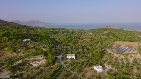 aerial pullback riser over vast olive groves close to coastline, pilonas, rhodes