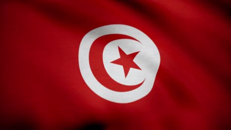 tunisian flag