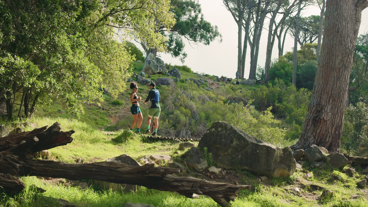 Alpinistas em uma trilha cênica pela floresta