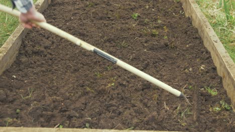 raking picking through soil for weeds and roots in raised garden bed