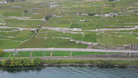 aerial-view-of-Lavaux-vineyards-in-Vaud,-Switzerland,-next-to-the-geneva-alpine-lake