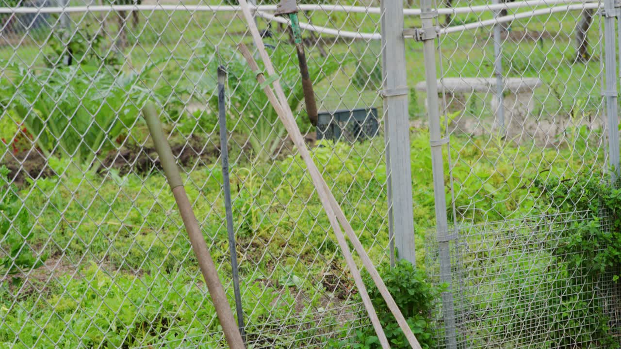 Pan up shot of a dirty shovel resting against a fence next to a Garden full of herbs and peppers