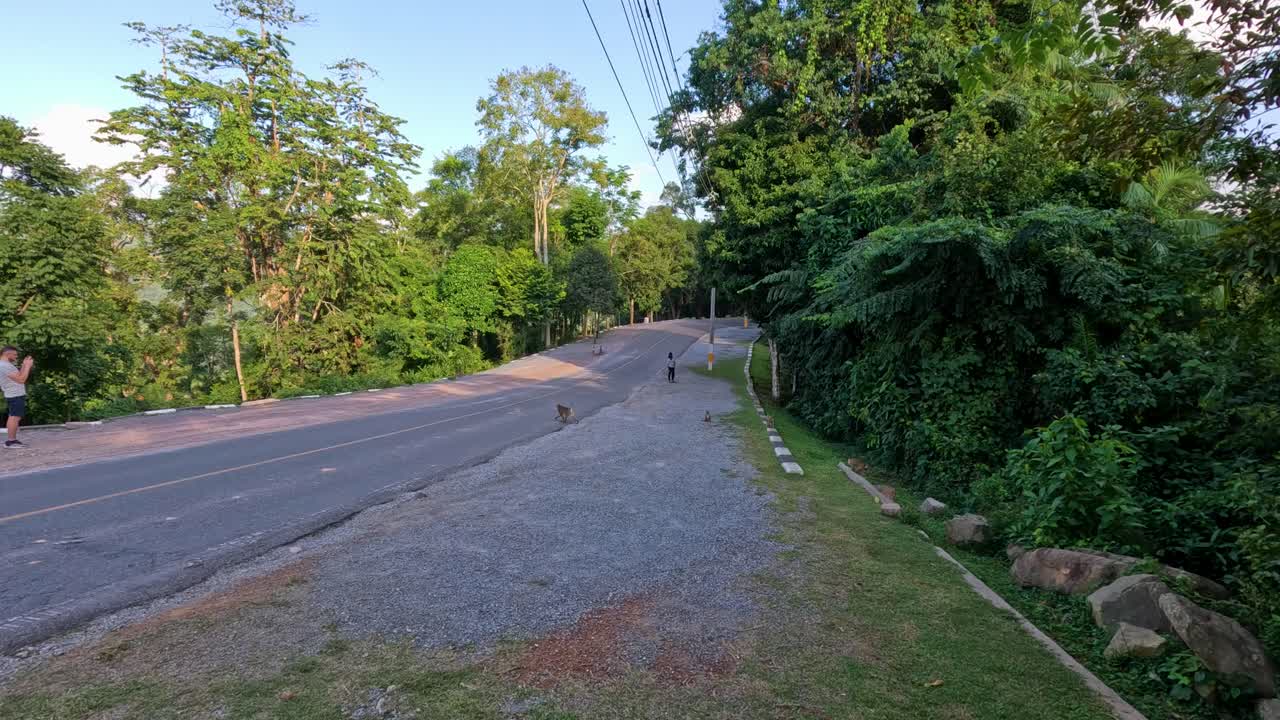원이들이 상호 작용하고 함께 길을 건너고 있습니다.