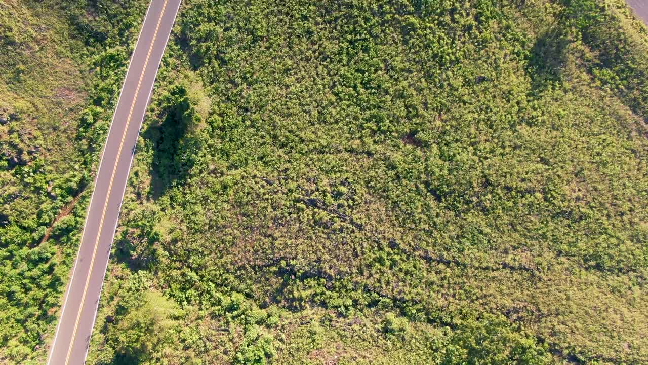 Highway road and green nature of Hawaii island, aerial drone view