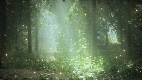 enchanted forest with fireflies and sunlight