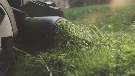 lawn mower cutting grass