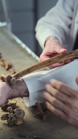 scientists examining ancient bones in a laboratory