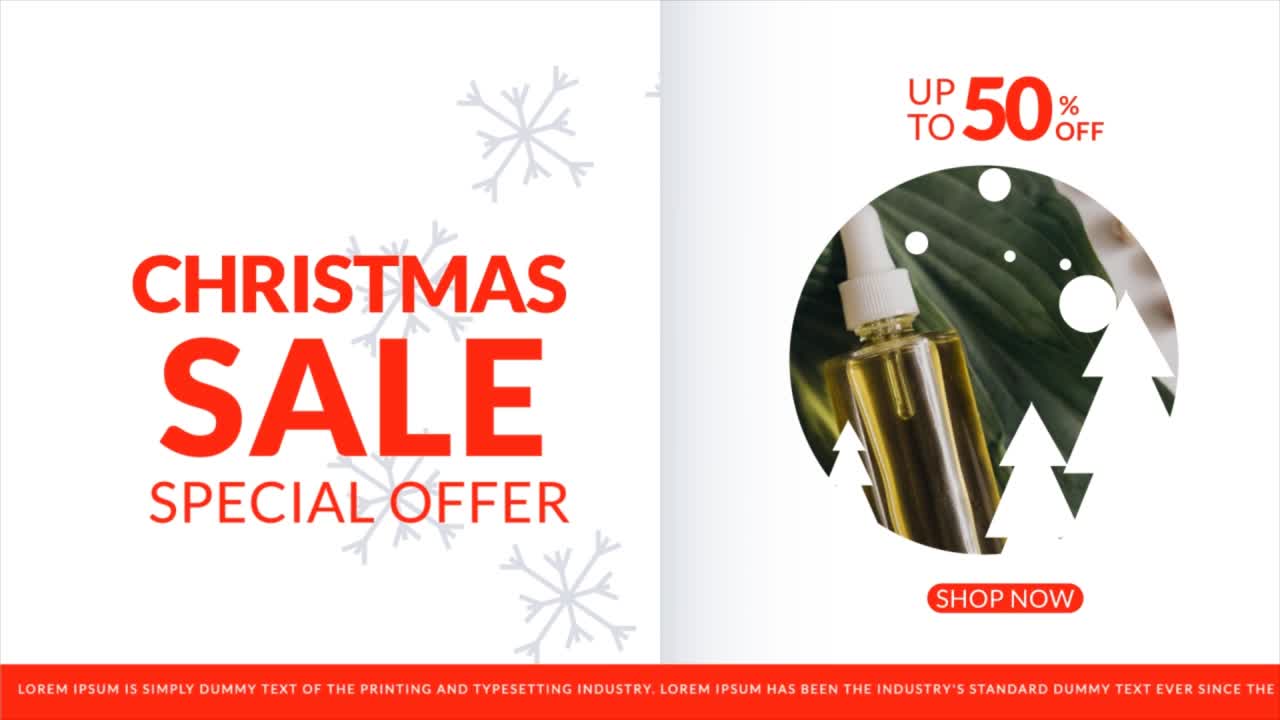 Christmas Sale Special Offers