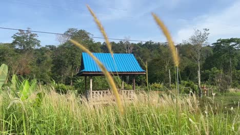 open gazebo with blue roof with tall grassy field in the foreground