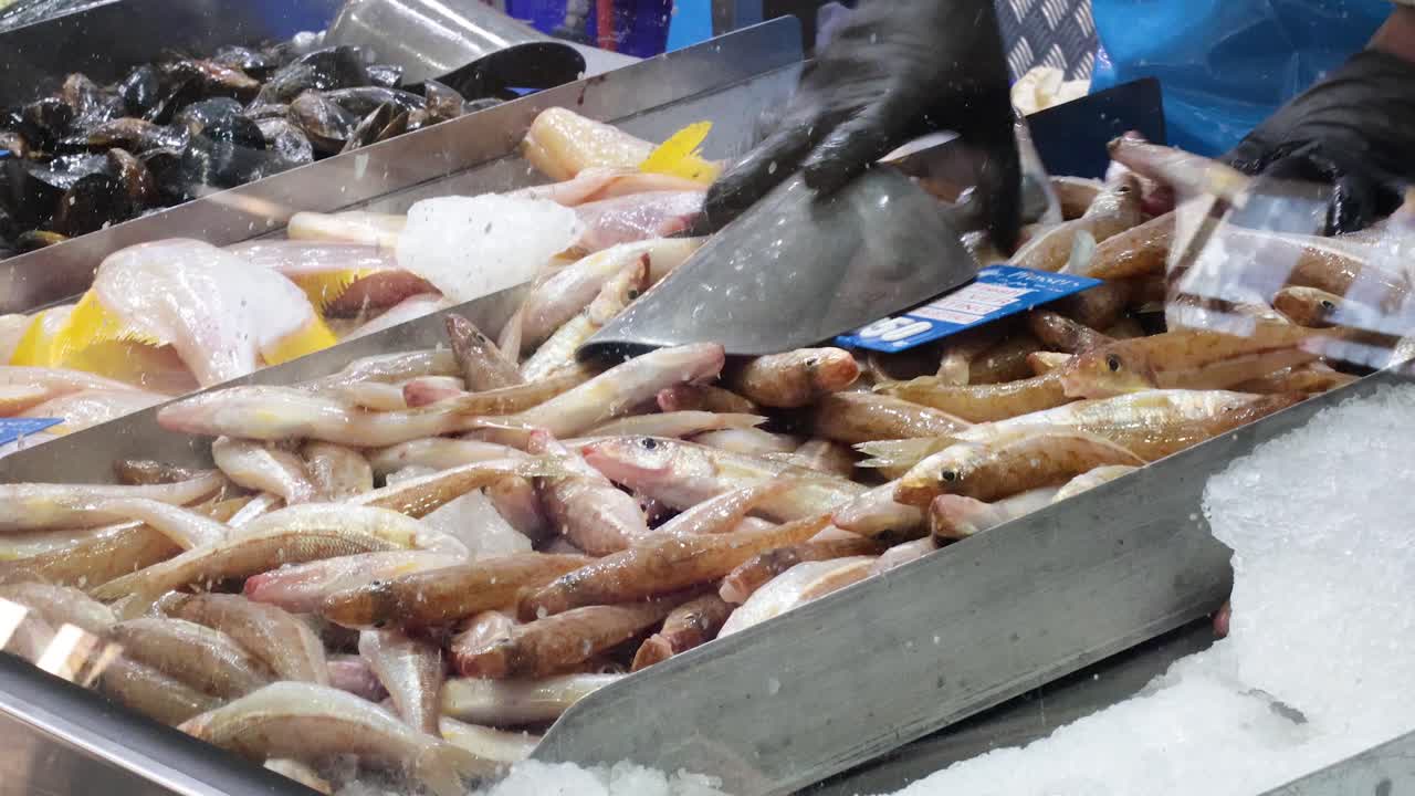vendedor de pescado preparando mariscos en hielo