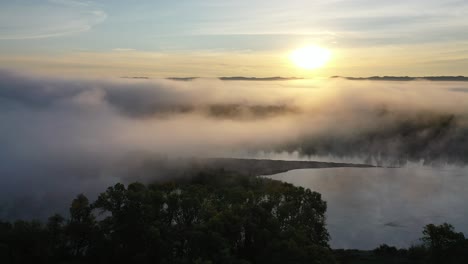 sunrise through fog over trees