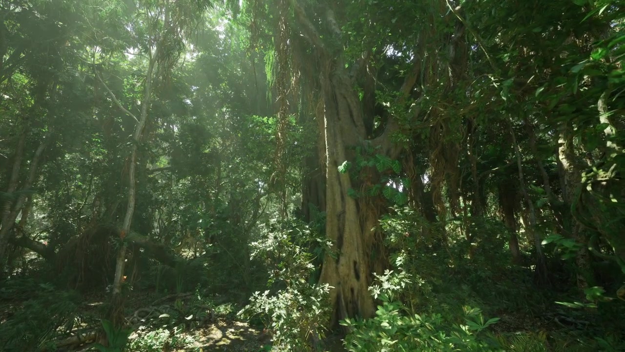 Vecchio albero gigante con radici aggrovigliate e corteccia robusta