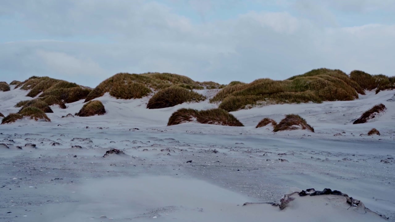 Kystregionen på Falklandsøyene