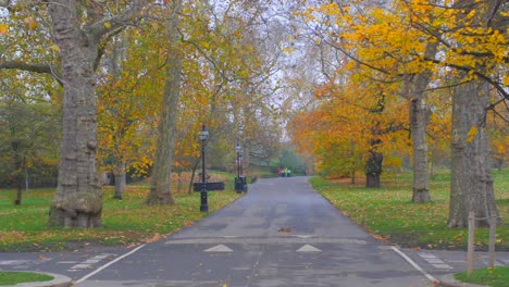 hyde park with empty road and trees with autumn colors in london england, uk