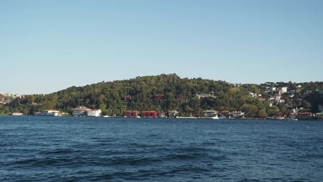 view of a small island with houses and trees in the bosphorus strait, istanbul, turkey