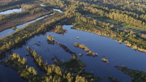 aerial drone shot flying over river delta and flooded farmlands in netherlands