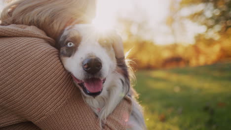 a woman gently hugs her beloved dog. on a walk in the park, the sun illuminates them beautifully