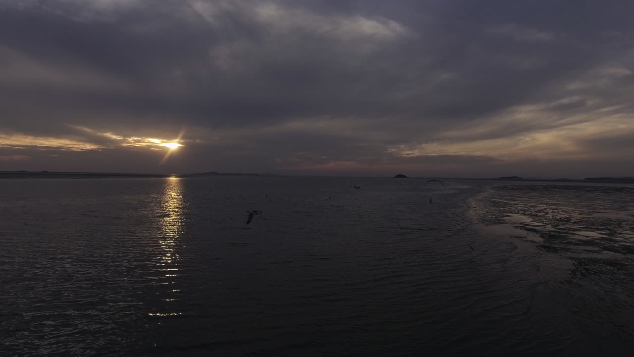 Näkymä meren laskuvedestä auringonlaskun aikaan, lentäviä lokkeja, dronekuva