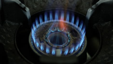 close-up of a gas stove burner flame